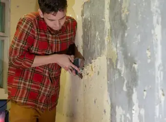 Damp Wall Repair