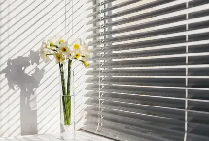 Window Blinds