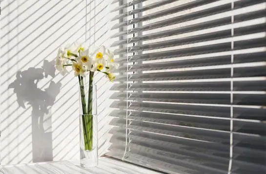 Window blinds